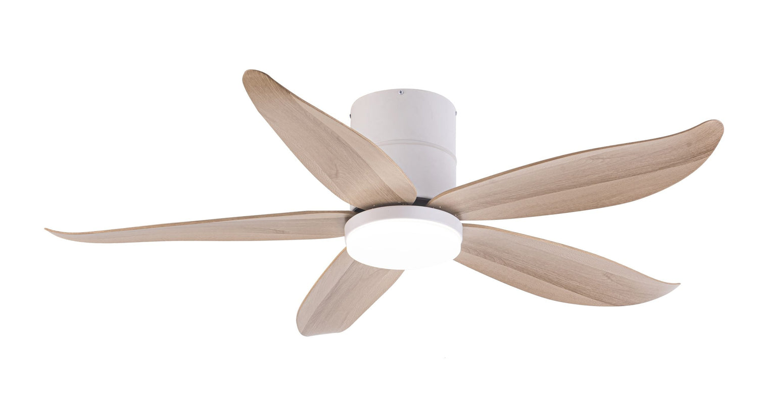 Ceiling Fans